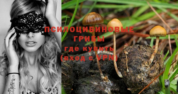 ешки Алексеевка
