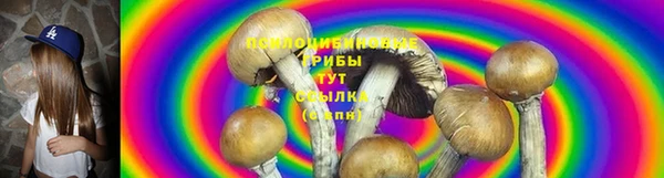 ешки Алексеевка