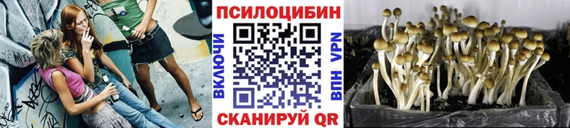Галлюциногенные грибы MAGIC MUSHROOMS  Белоярский 