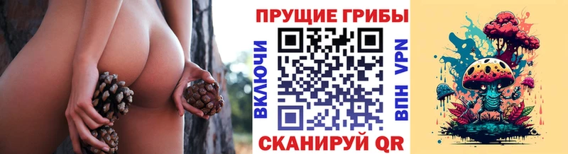 Псилоцибиновые грибы мухоморы Белоярский